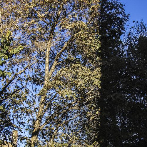 Photo #2855094