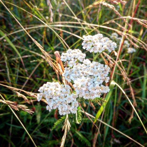 Photo #2855139