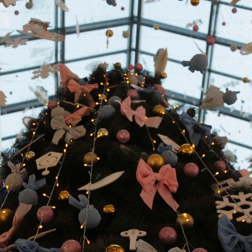 Photo #2855519