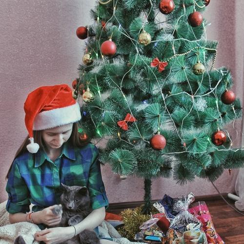Photo #2855524