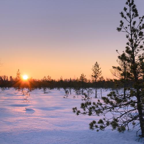 Зимний рассвет