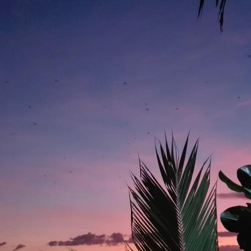 Sunset in Mailne Bay