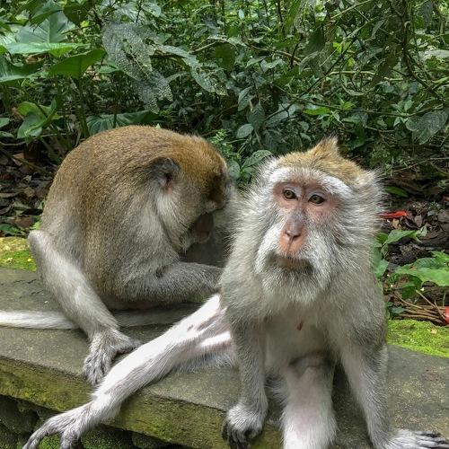 Photo #2857172