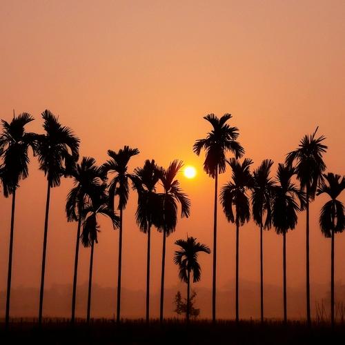 Sunrise in Bangladesh