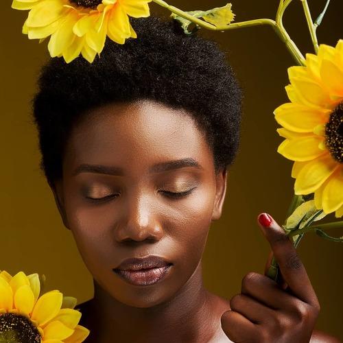 Black Beauty