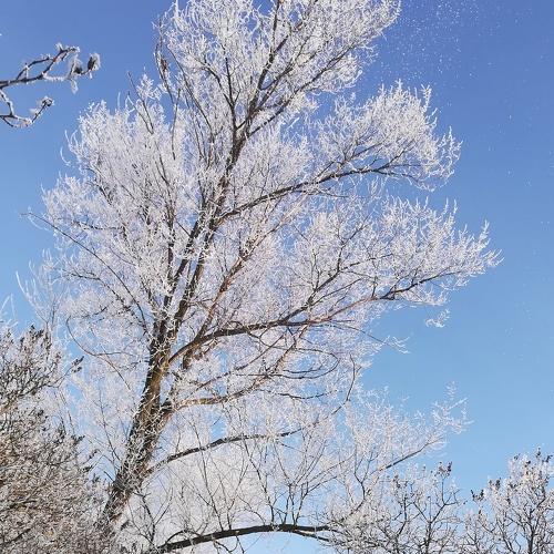 Аллея