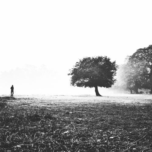 Dream Land
