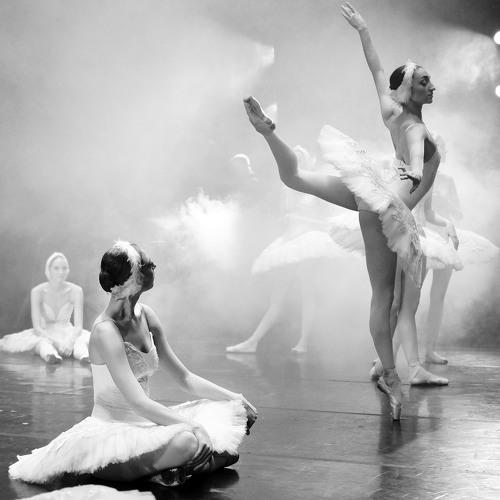 Photo #2859036