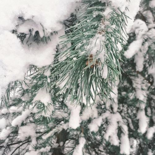 Красота, которую мы не замечаем