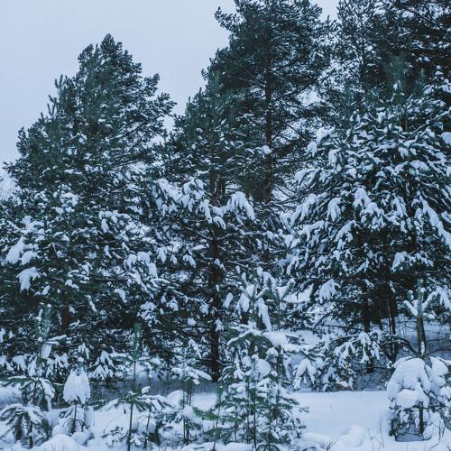 Photo #2859809