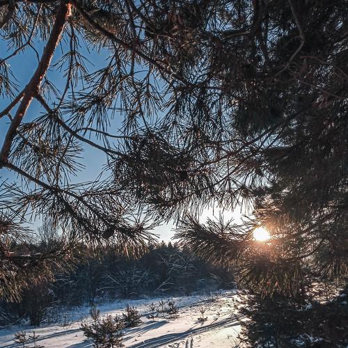 Photo #2859839