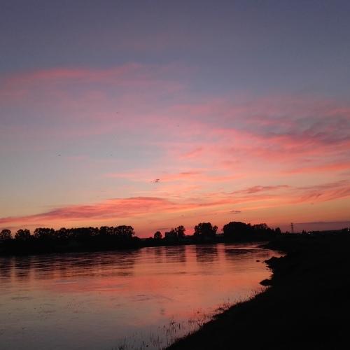 Photo #2860774
