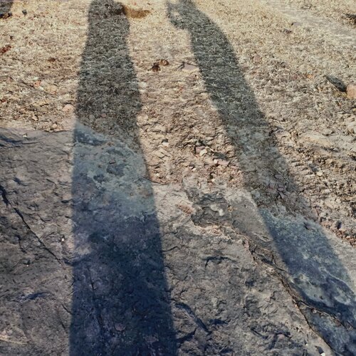 Tall shadow