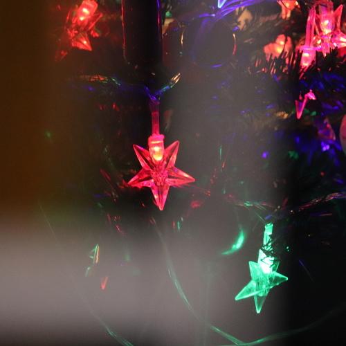 Photo #2861108