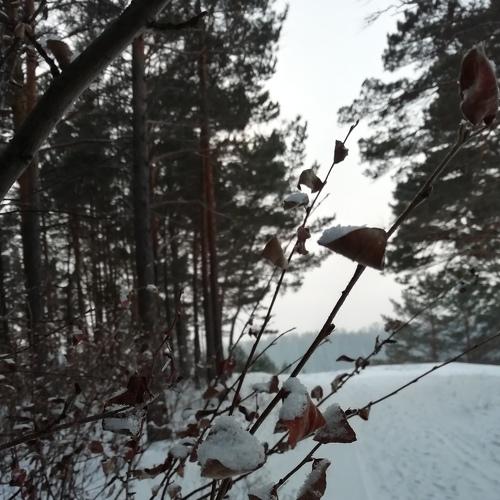 Photo #2861665