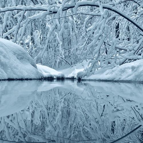 Lost in Reflection