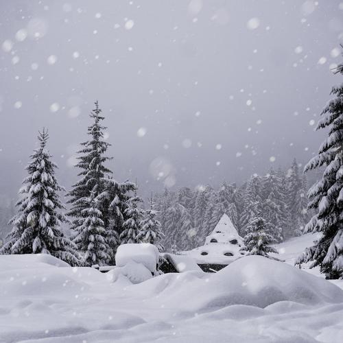 Wintertale