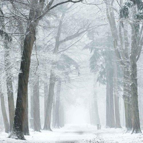 The snowing path