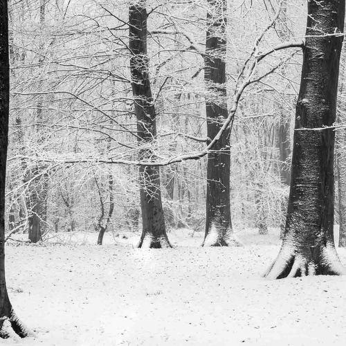 Almost black and white