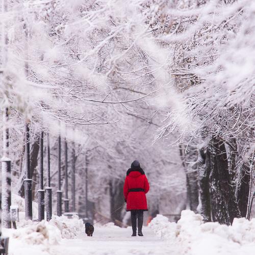 Photo #2866169
