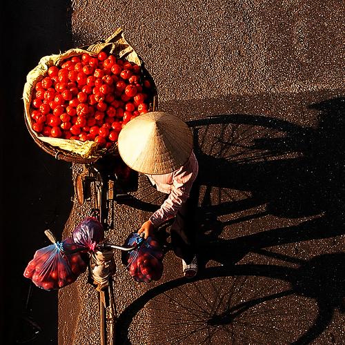 Figures and Shadows