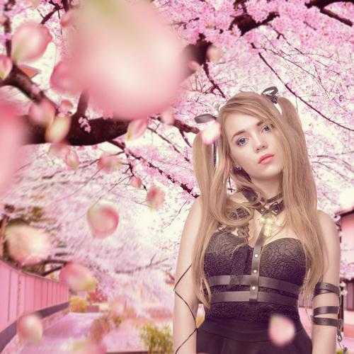 Photo #2866877