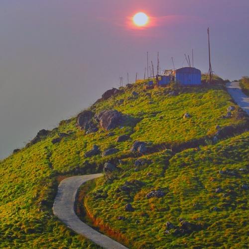 Photo #2867361