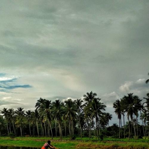 Photo #2867385