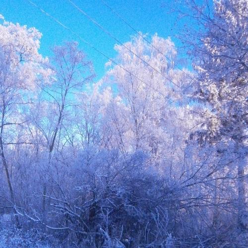 Зима пришла