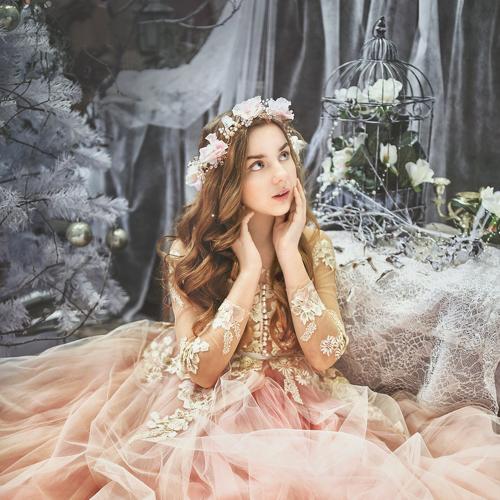 Photo #2869205