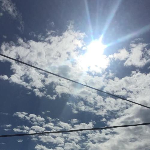 The weather