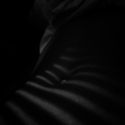 Photo #2869860