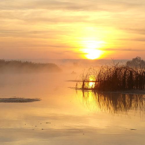 Photo #2870933