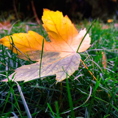 Photo #2871490