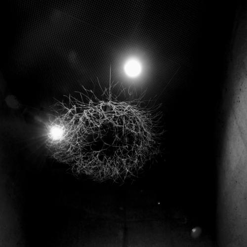 The Nest