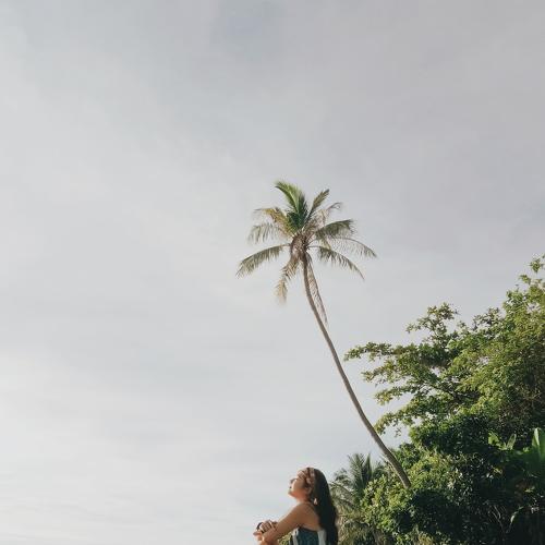 Tropical