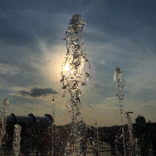 Photo #2873389