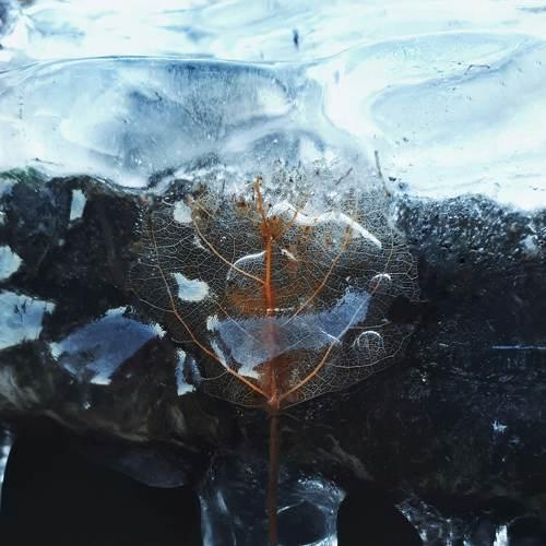 Life in cold