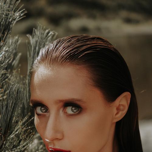 Photo #2874358