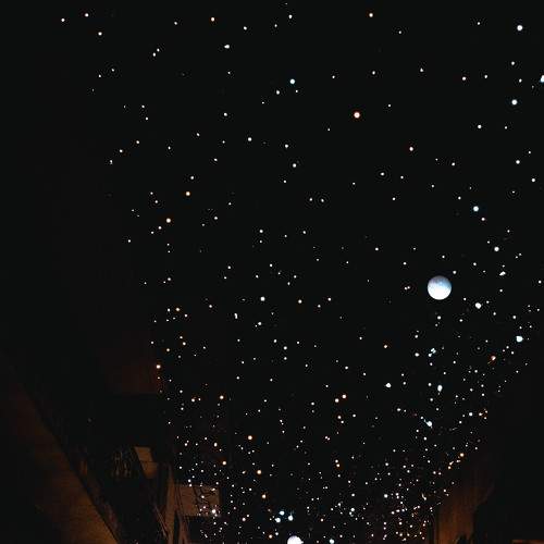Christmas Light