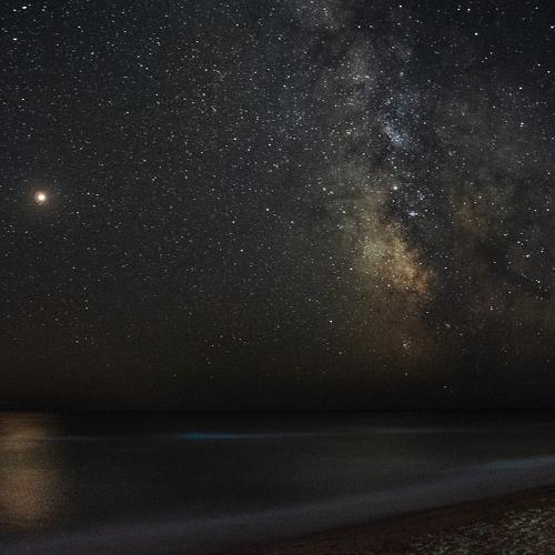 Photo #2875808