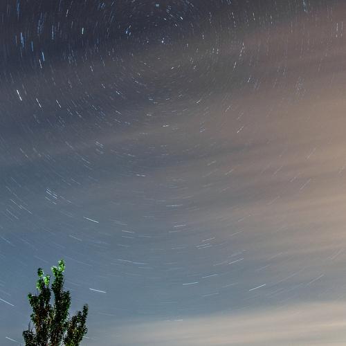 Photo #2875814