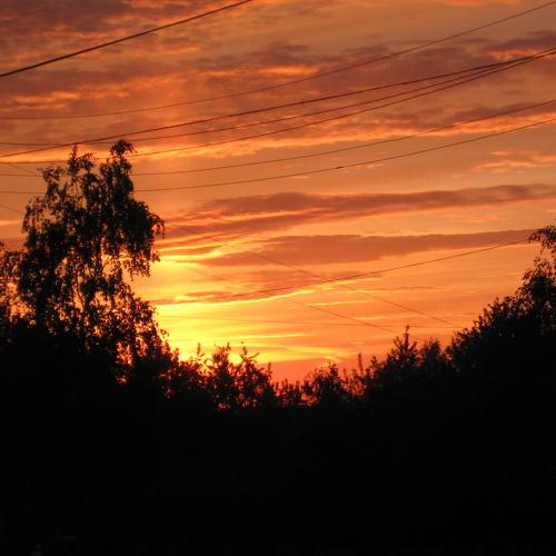 Photo #2877258