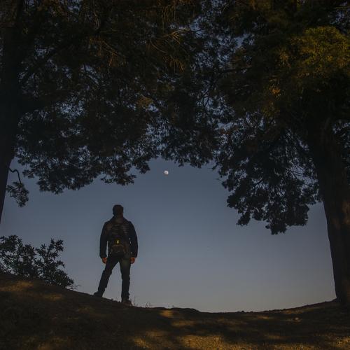 The moon watcher