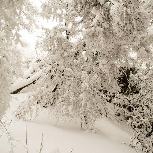 Photo #2879552