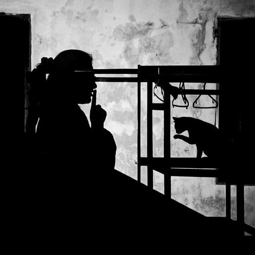 Symmetric thoughts of shadows