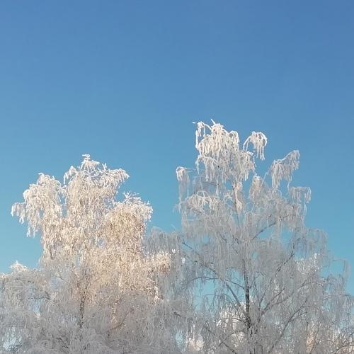 Photo #2879872