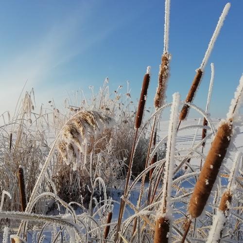 Photo #2879879