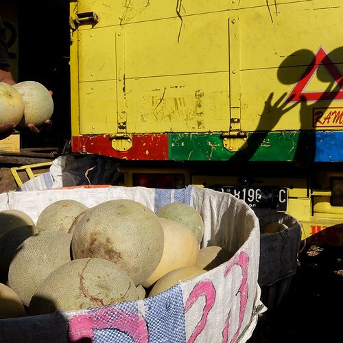 Melons