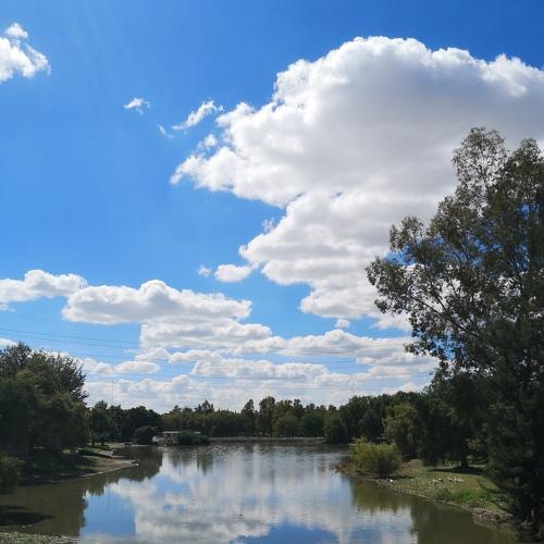 Reflejos diarios